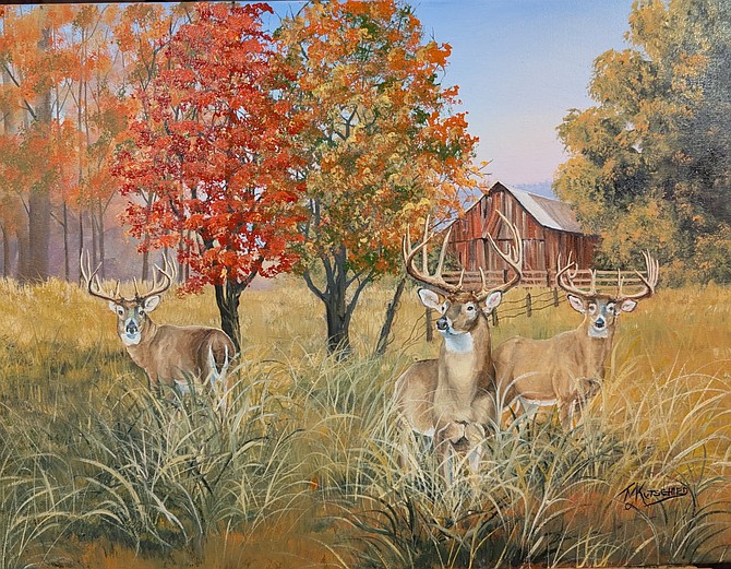 Photo detail