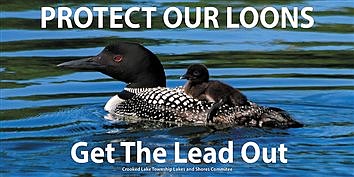 Attention Fisherman: Help save loons and other waterfowl
