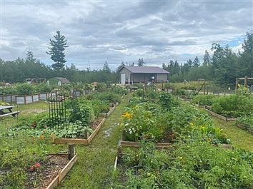 Longville cultivates community garden 