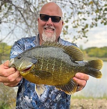 DNR certifies a state record hybrid sunfish