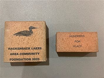 Hundreds for Hack - HLACF brick fundraiser 2023